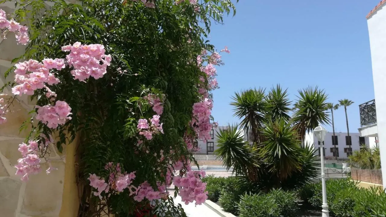 Tenerife Altamar Paradise Playa de las Americas